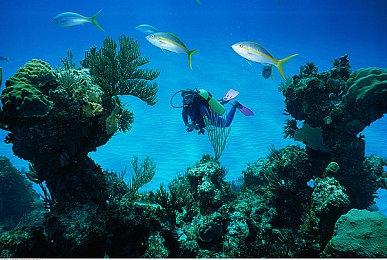 《刺客信条：幻景》风评向好 媒体盛赞其终于回归